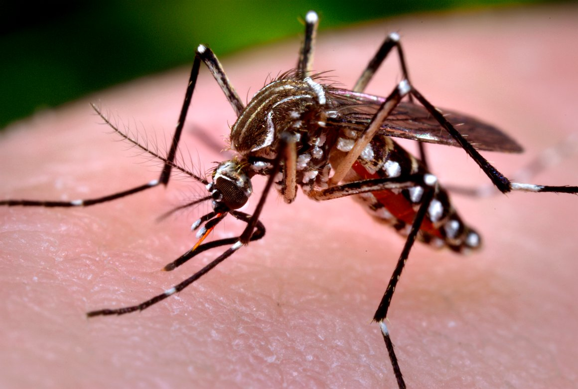 sốt xuất huyết Dengue có tình trạng bội nhiễm