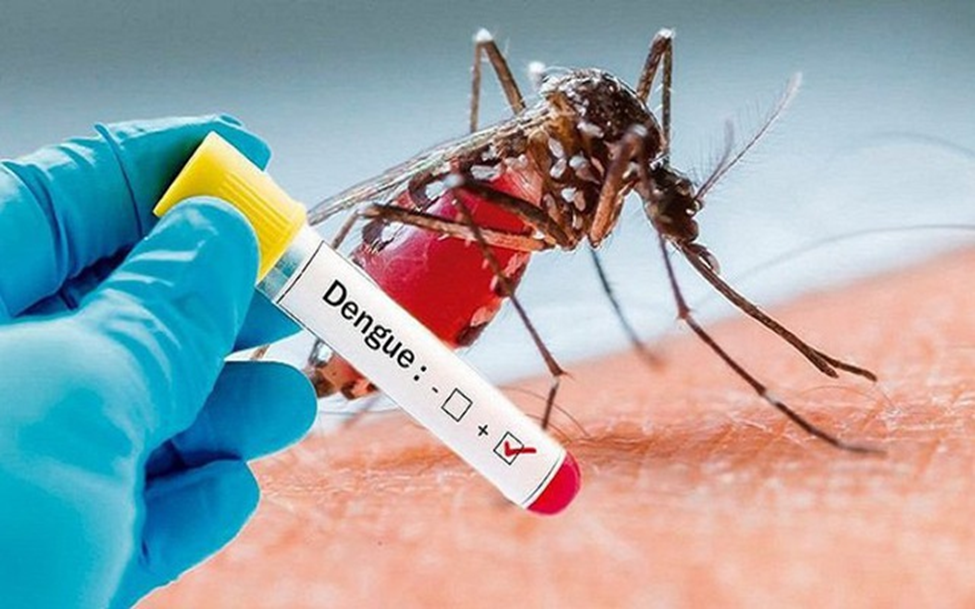 muỗi không chỉ truyền bệnh sốt xuất huyết mà có thể truyền các loại virus gây bệnh khác như bệnh do virus Zika
