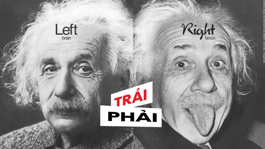 Hai thái cực của Albert Einstein thường được đùa vui giống cách mà não làm việc