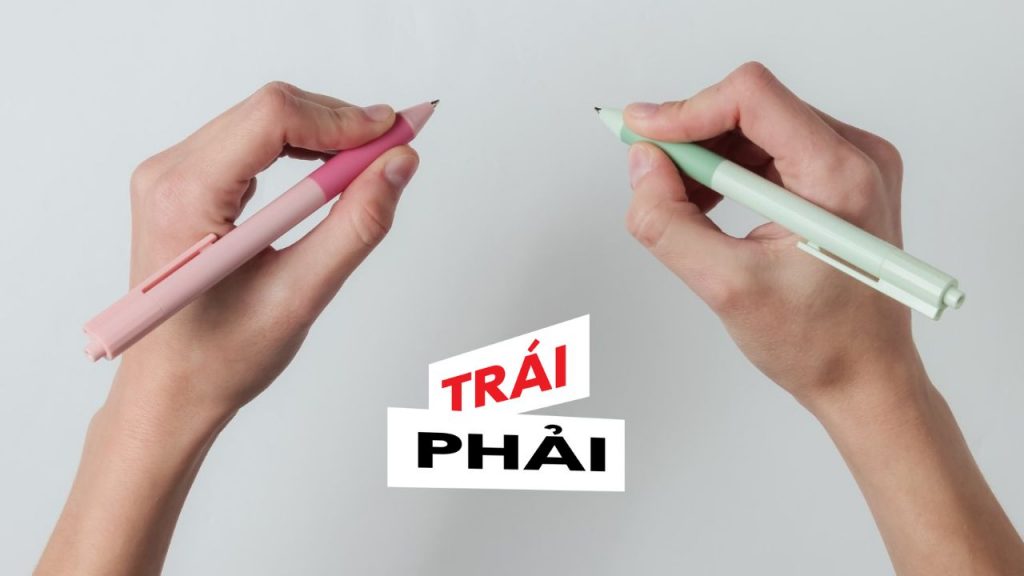 Khoảng 90% dân số thế giới thuận tay phải