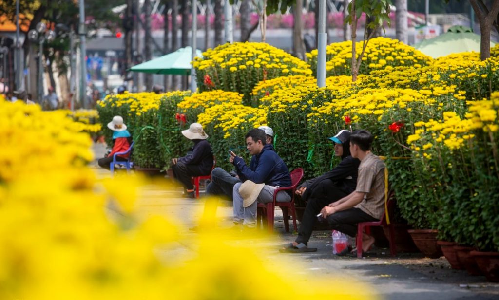 Chợ hoa TP.HCM thưa thớt, người bán ngồi ôm điện thoại hết ngày