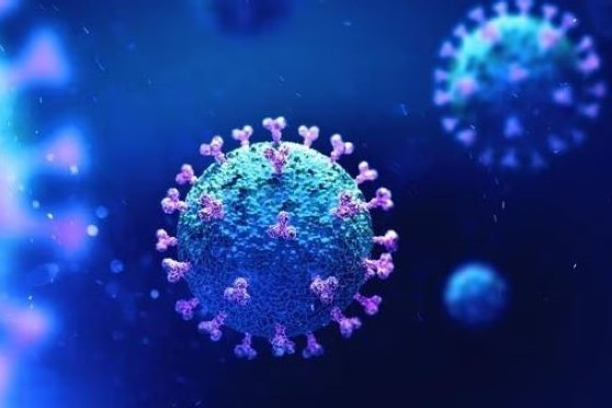 Virus HMPV được phát hiện tại một số quốc gia trong nhiều năm qua. Ảnh: Science Photo Library