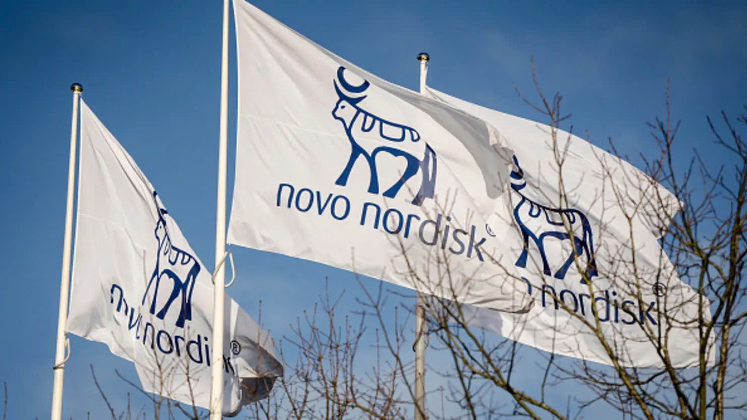 công ty Novo Nordisk